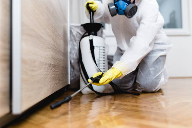 Best Pest Prevention Services  in Shelbyville, TN