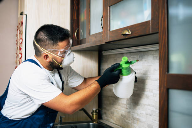 Best Emergency Pest Control  in Shelbyville, TN