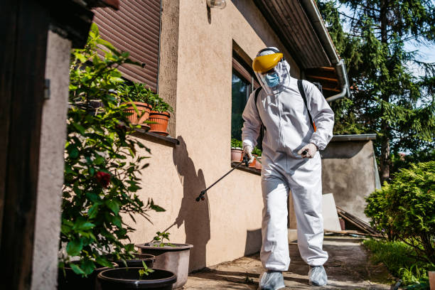 Best Best Pest Control Companies  in Shelbyville, TN