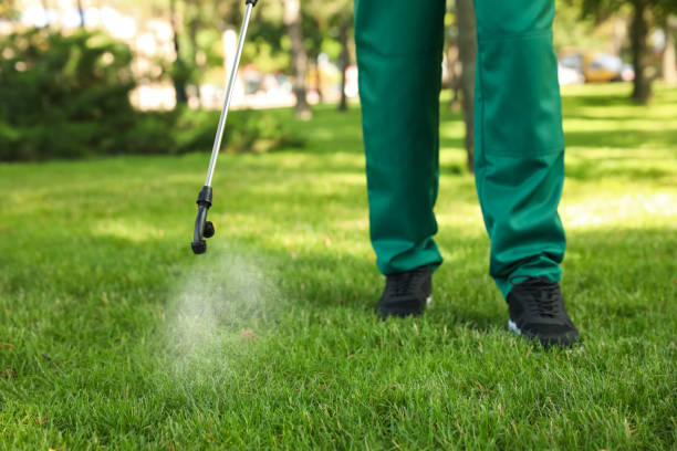 Best Pest Removal Services  in Shelbyville, TN