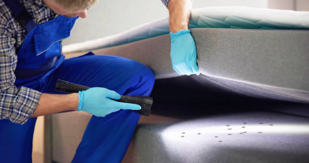 Best Exterminator Services  in Shelbyville, TN