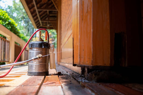 Best Affordable Pest Control Services  in Shelbyville, TN