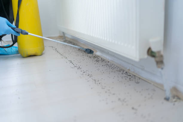 Reliable Shelbyville, TN Pest Control Solutions