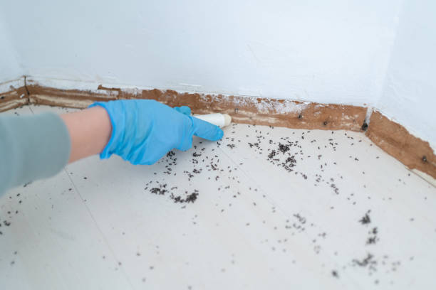 Best Best Pest Control Companies  in Shelbyville, TN