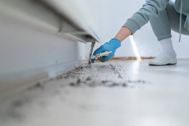 Best Insect Control  in Shelbyville, TN
