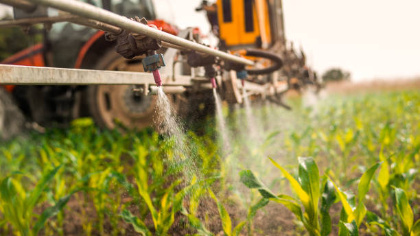 Best Wildlife Control Services  in Shelbyville, TN